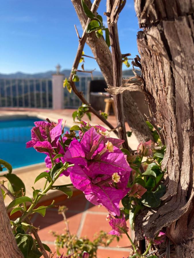 Bed and Breakfast Casa La Quinta Ríogordo Exteriér fotografie